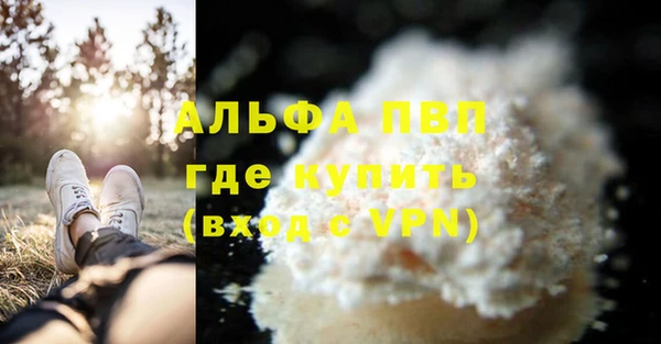 стаф Усинск