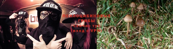 хмурый Усмань