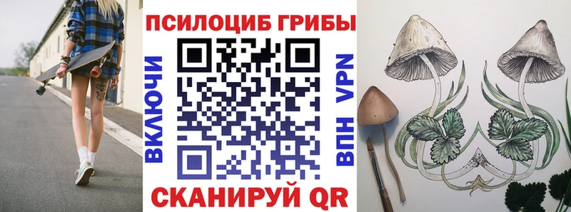 Псилоцибиновые грибы MAGIC MUSHROOMS  Купить где  Гвардейск 